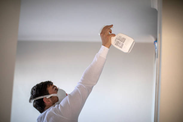Best Industrial Mold Remediation in North Redington Beach, FL